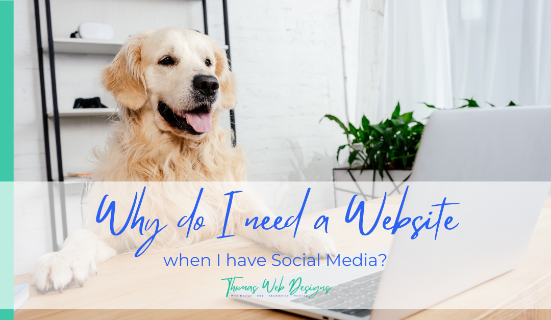 Why do I need a Website when I have Social Media?