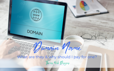 Domain Name. What are they & why should I pay for one?