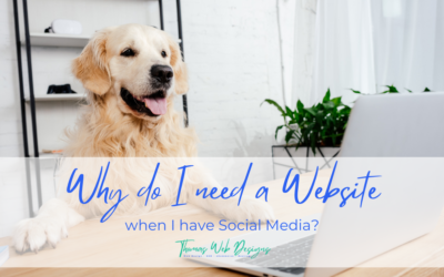Why do I need a Website when I have Social Media?